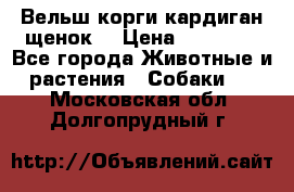 Вельш корги кардиган щенок  › Цена ­ 35 000 - Все города Животные и растения » Собаки   . Московская обл.,Долгопрудный г.